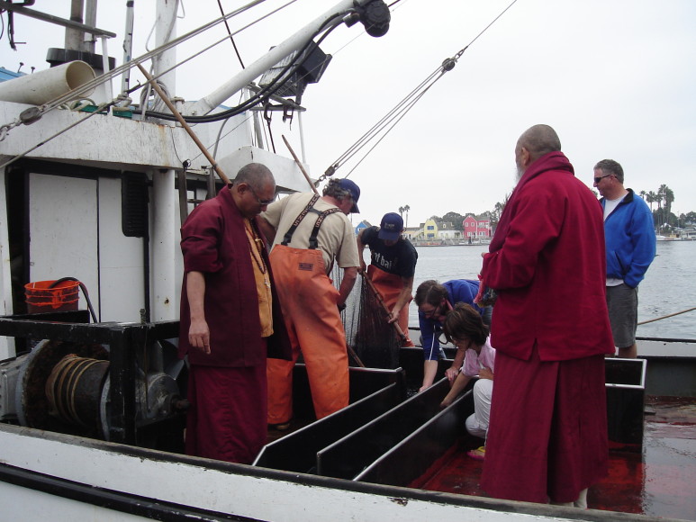 monks liberating fish in Los Angeles